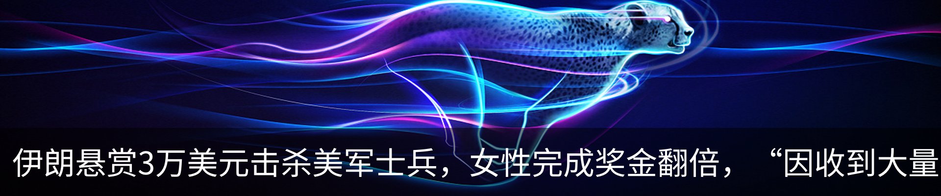 最新动态