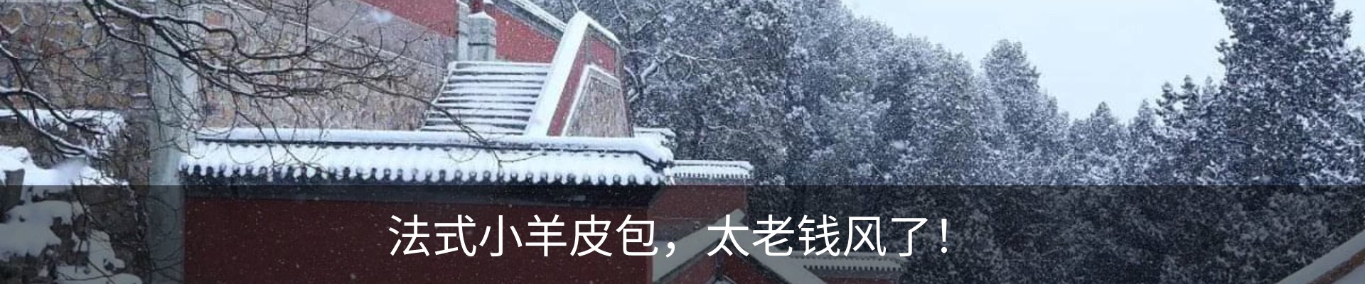 最新动态