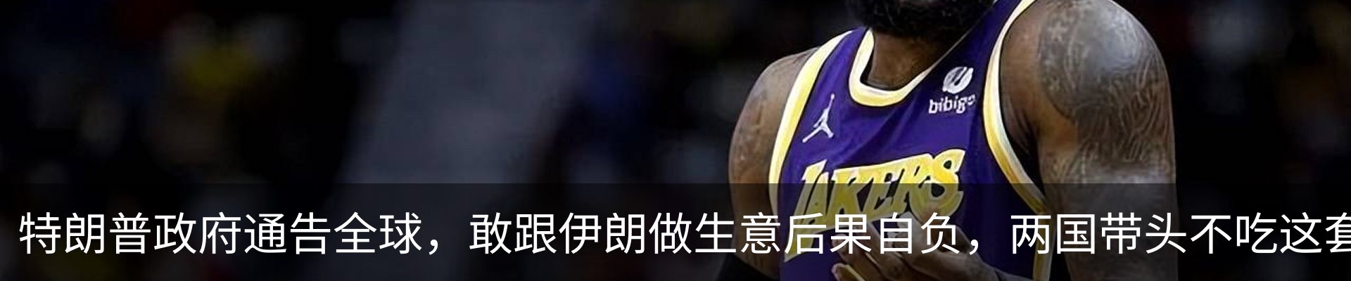 最新动态